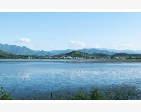 女性脸上有斑的调理秘籍：饮食养生篇